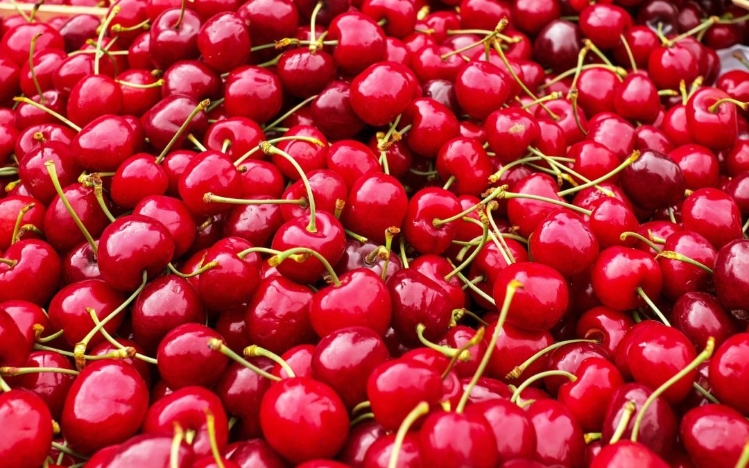Ofertas de Empleo para la campaña de recogida de cerezas.
