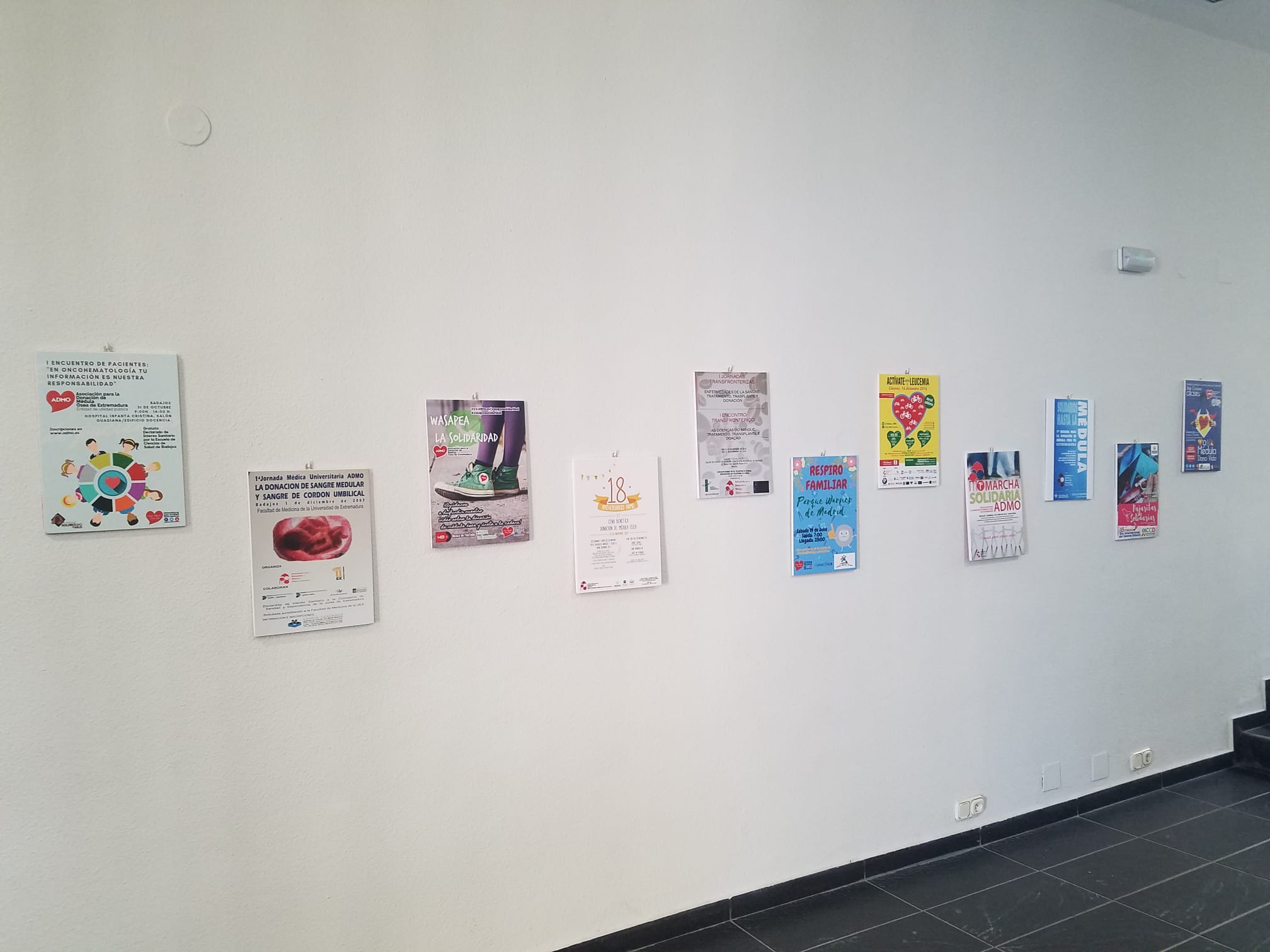 La Casa de la Cultura alberga desde hoy una exposición organizada por la Asociación de Donantes de Médula Ósea.