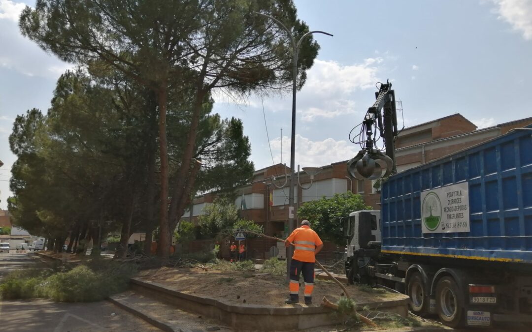 Comienzan las obras de reforma de la Avenida del Magisterio.