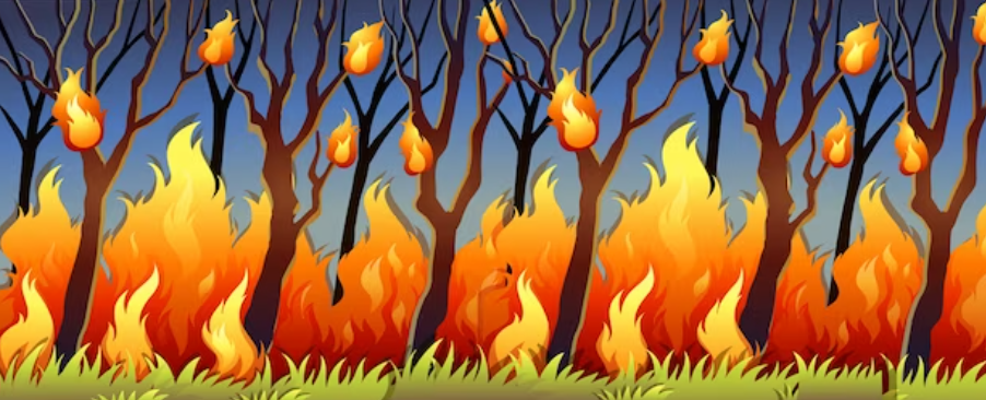MEDIDAS DE PREVENCIÓN Y LUCHA CONTRA INCENDIOS FORESTALES